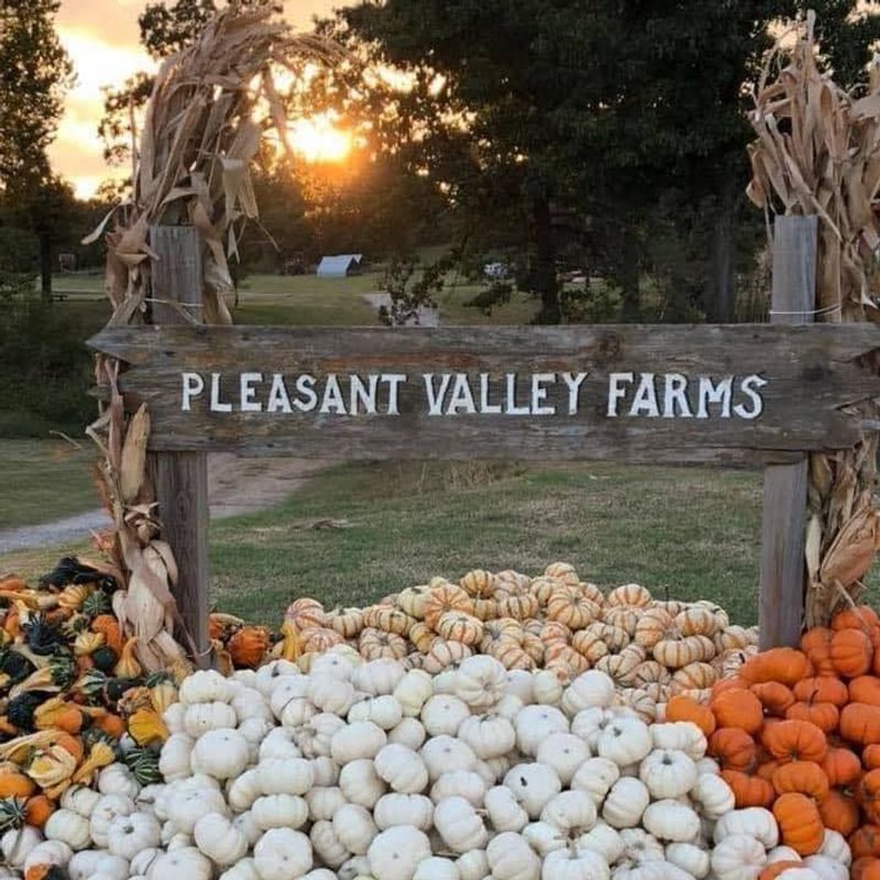 Pleasant Valley Farms Pumpkin Patch