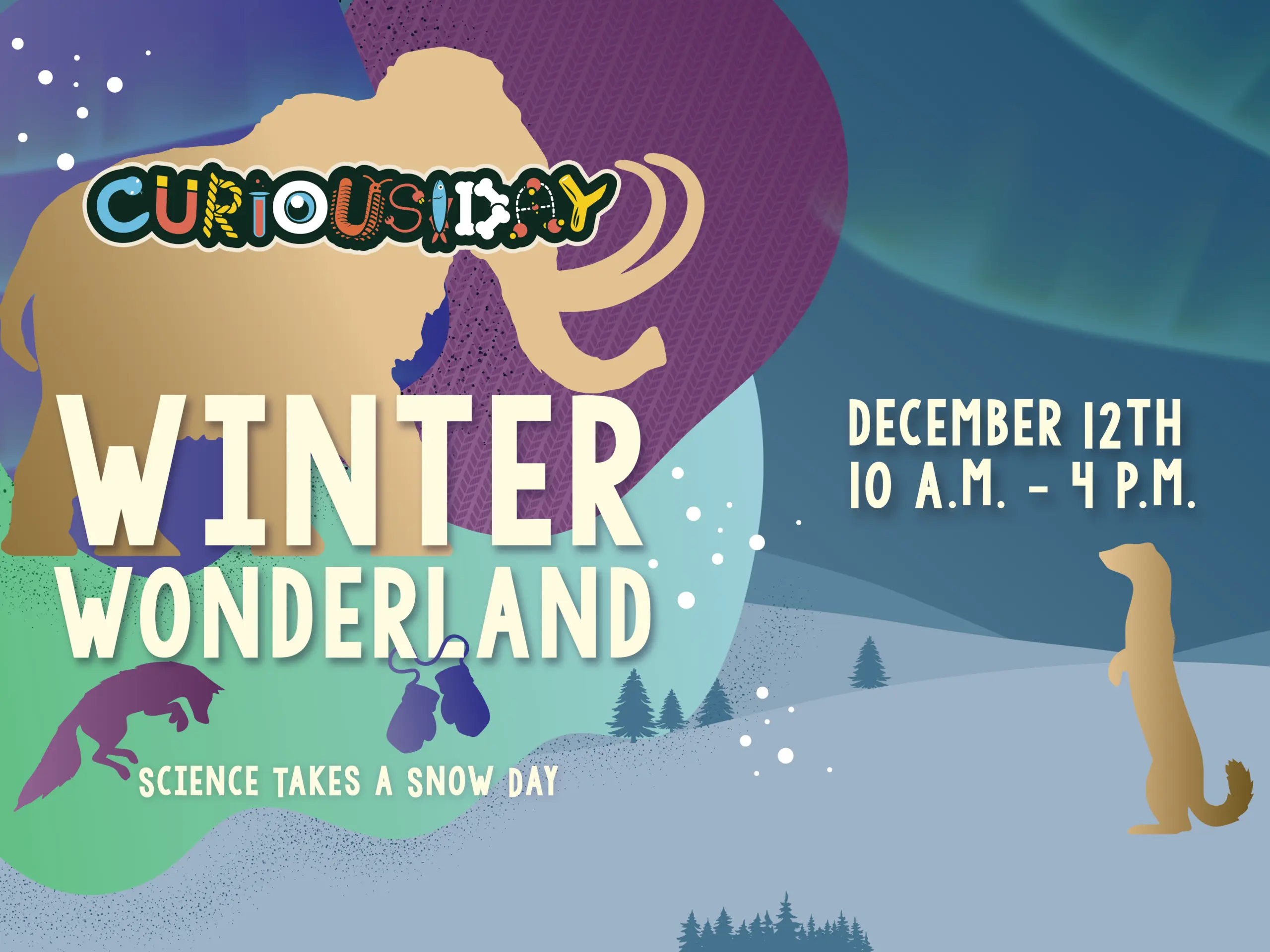 Curiousday: Winter Wonderland