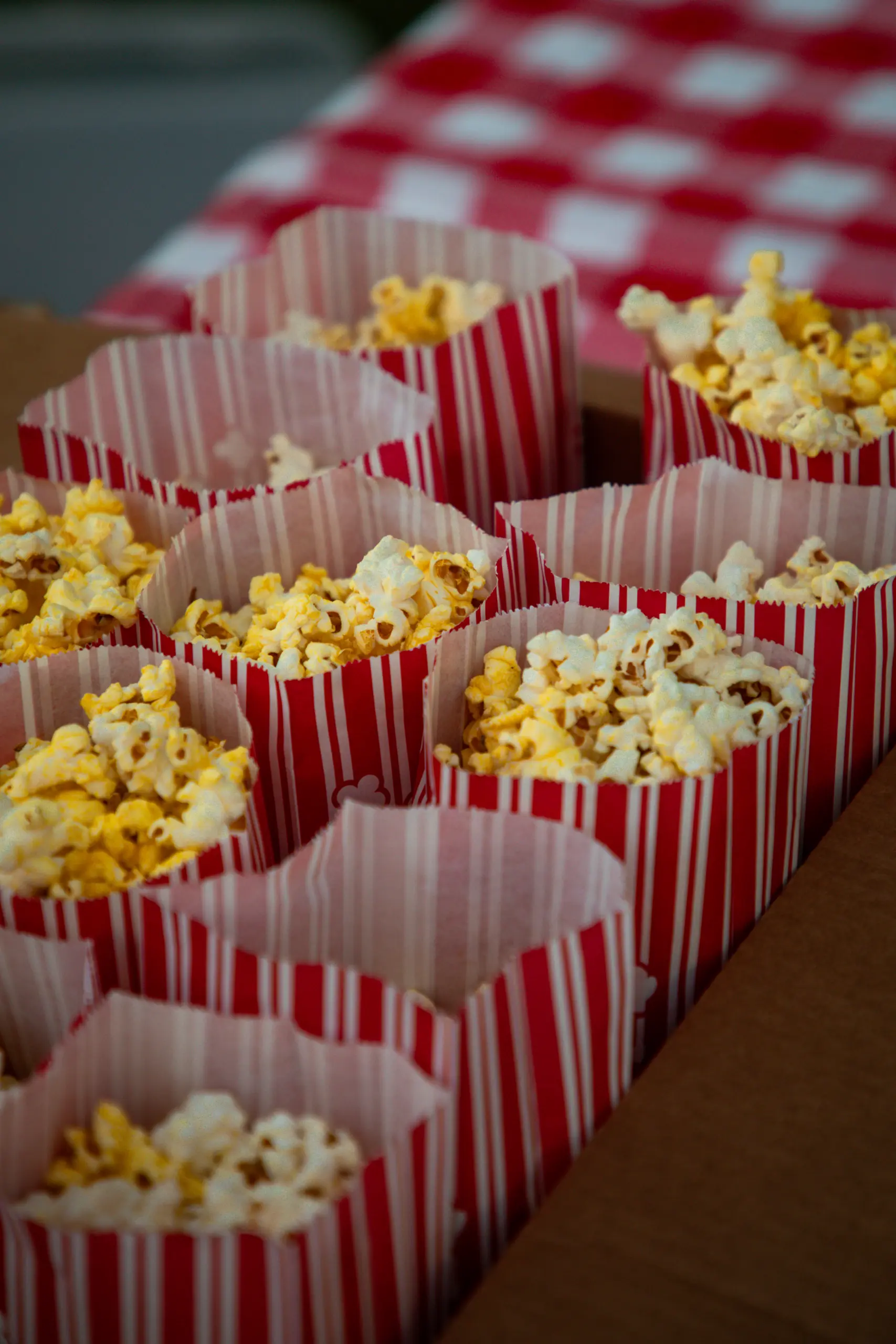 Movie Night at Mollie’s: The Wizard of Oz
