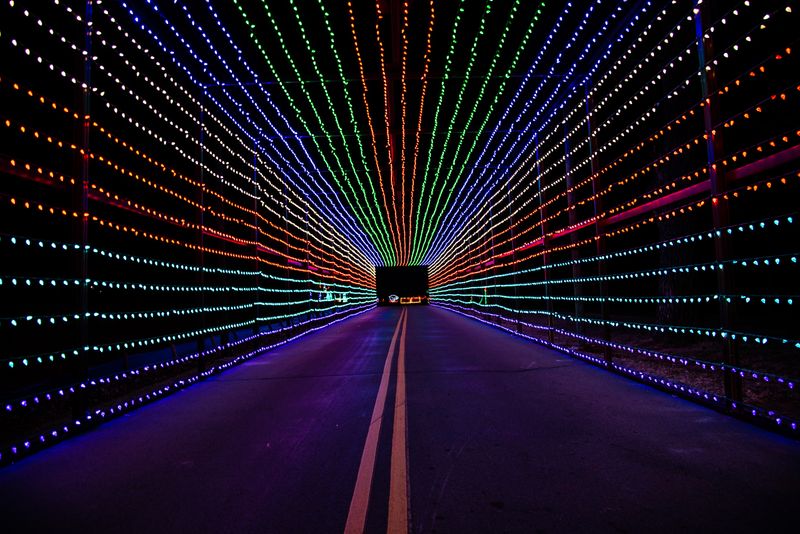 Lights From the Heart