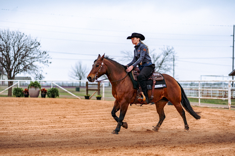 OSU Cowgirl Equestrian vs Baylor