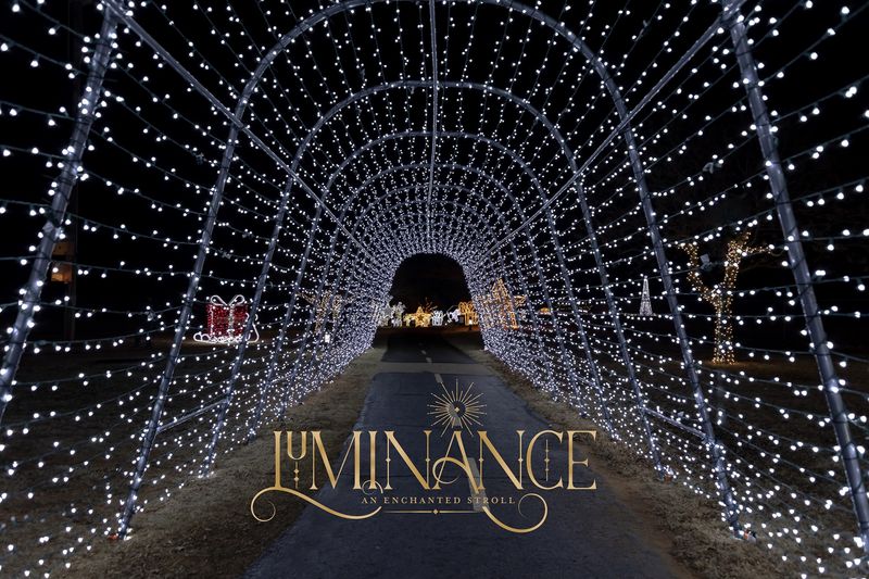 Edmond Electric's Luminance - An Enchanted Stroll
